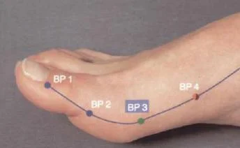 Puntos del Bazo/PÃ¡ncreas