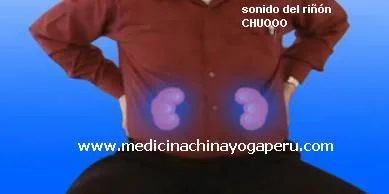 Ilustración de los riñones en la práctica de sonidos curativos